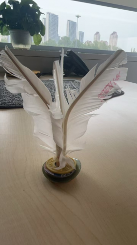 羽毛毽子