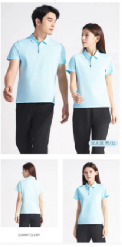 T恤 翻领T恤 polo衫  10件起订 可定制 具体定制内容联系客服