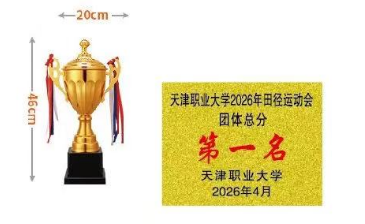 定制奖杯 46*20cm
