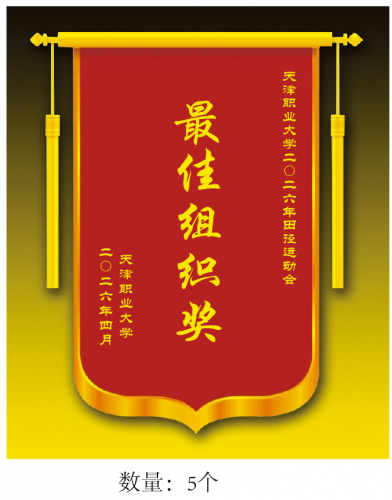 锦旗定制 70*110cm